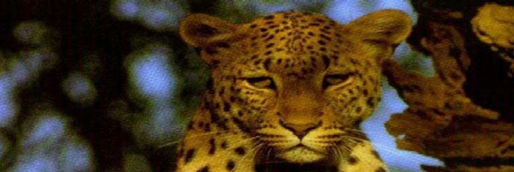 Worldwide Expeditions and Adventure Travel